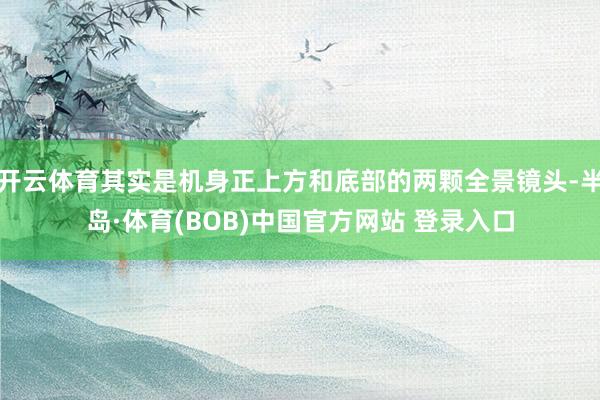 开云体育其实是机身正上方和底部的两颗全景镜头-半岛·体育(BOB)中国官方网站 登录入口
