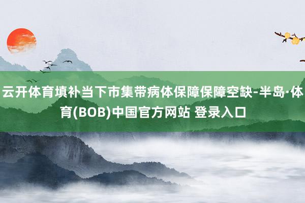 云开体育填补当下市集带病体保障保障空缺-半岛·体育(BOB)中国官方网站 登录入口